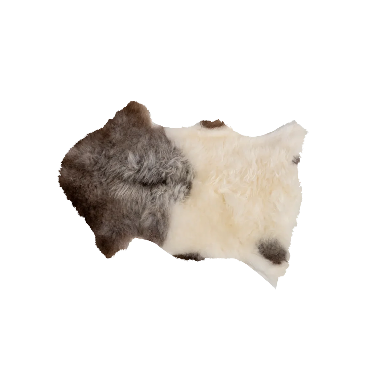 Fårskinn tibetanskt bergsfår - Bild 3